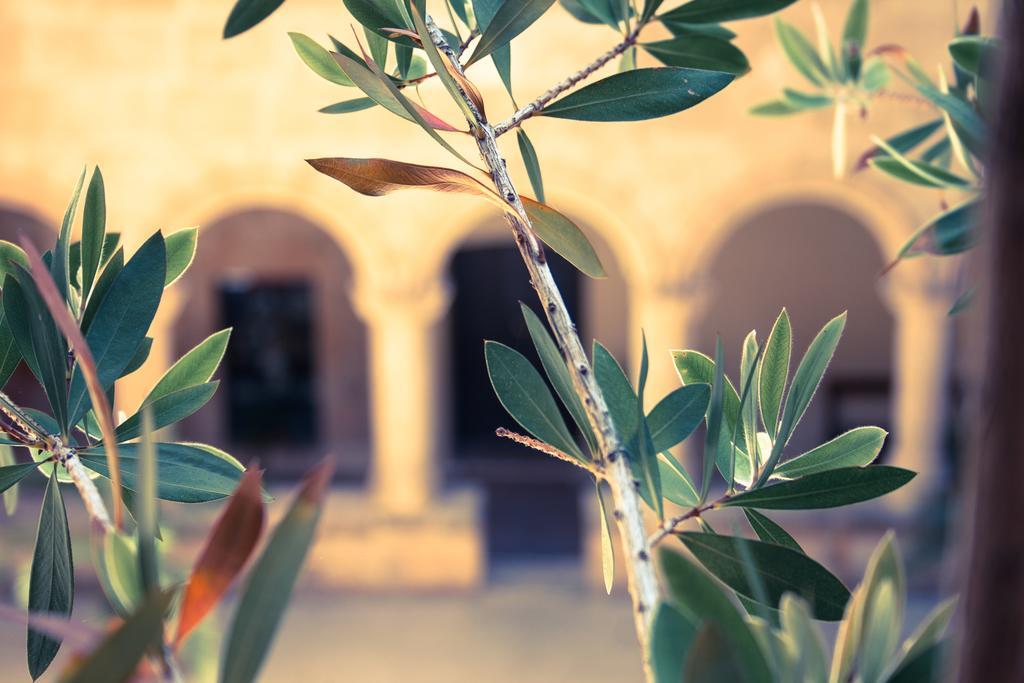 San Francesco Heritage Hotel Alghero Ngoại thất bức ảnh